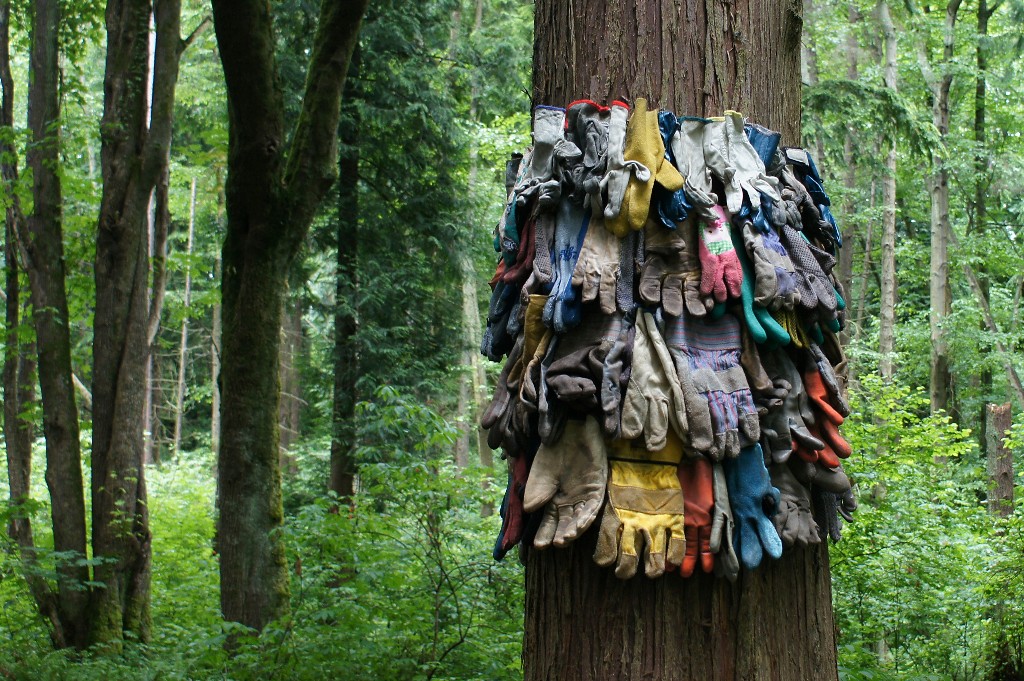 Used work gloves portion of Tree Futures installation