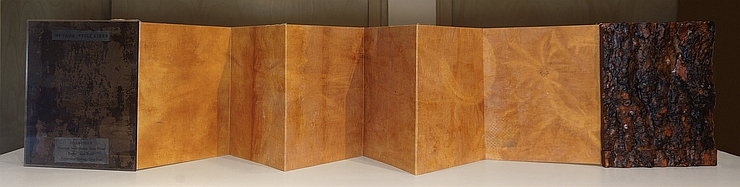 Photo of Suze Woolf artist book