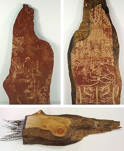 Photo of Suze Woolf artist book