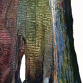 Portion of Suze Woolf burned tree painting