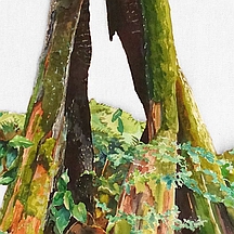 Portion of Suze Woolf burned tree portrait