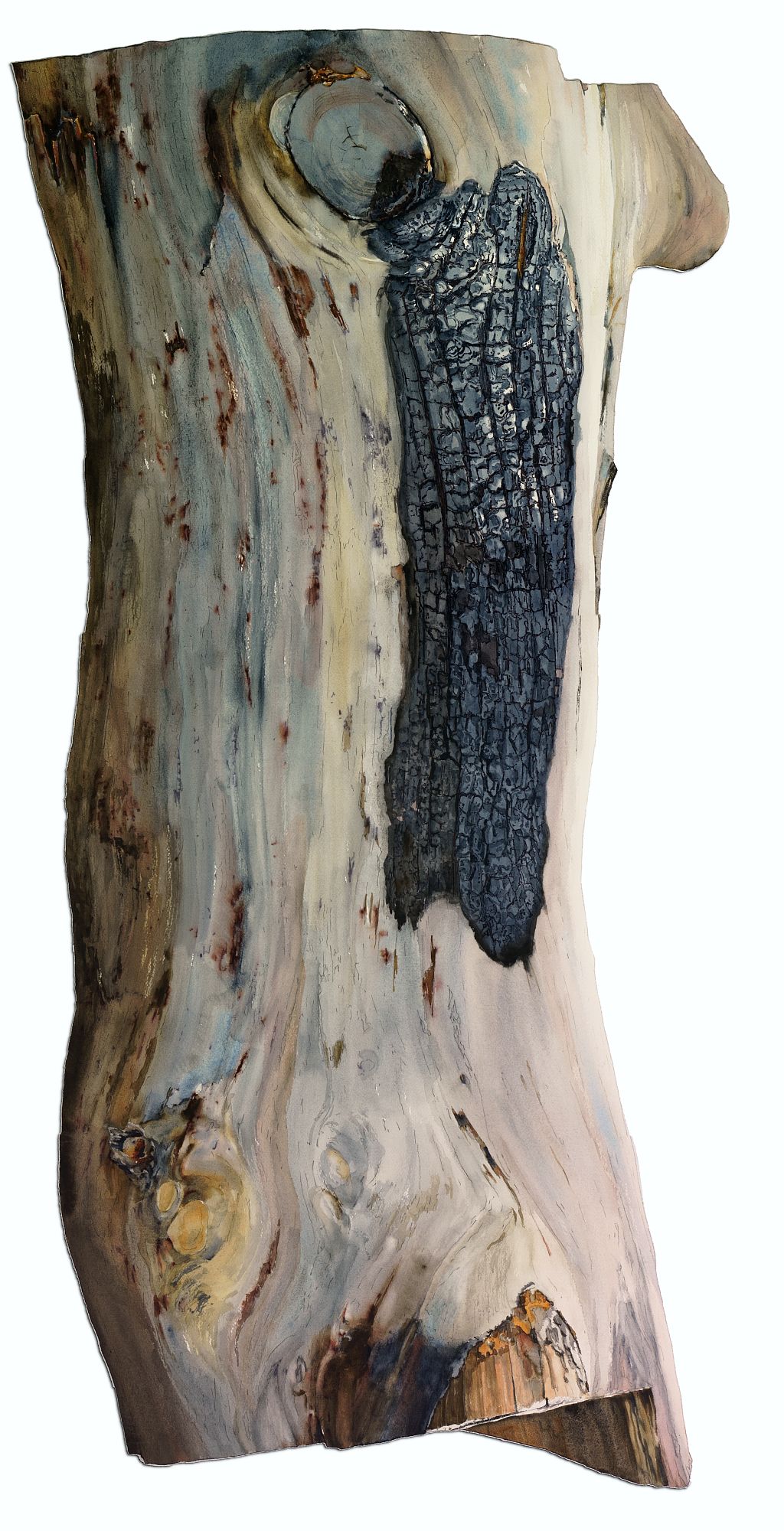 Photo of Suze Woolf burned tree painting