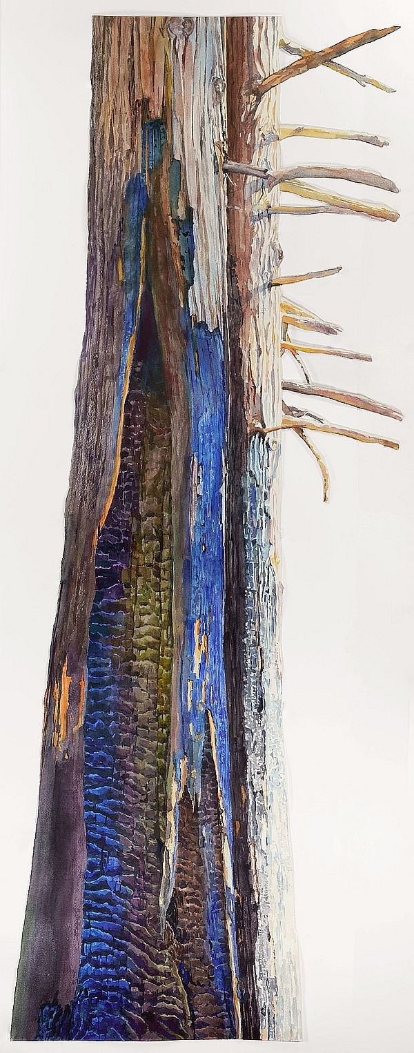 Photo of Suze Woolf burned tree panting