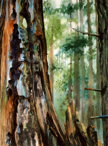 Remnants of an Older Burn is a Suze Woolf watercolor painting