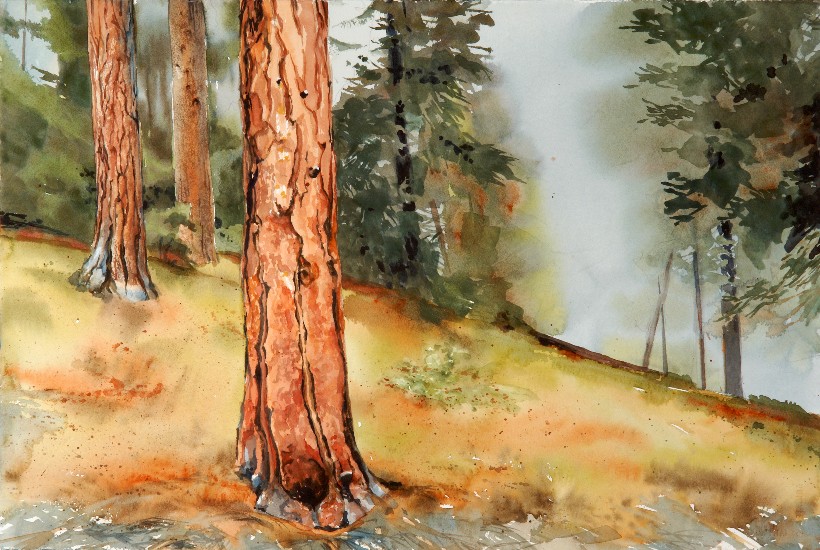 Eastern Forest, a Suze Woolf watercolor painting for the Nature Conservancy