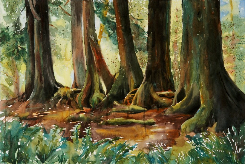 Nurselog, a Suze Woolf watercolor painting for the Nature Conservancy